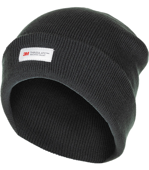 Čepice Watch Cap Thinsulate